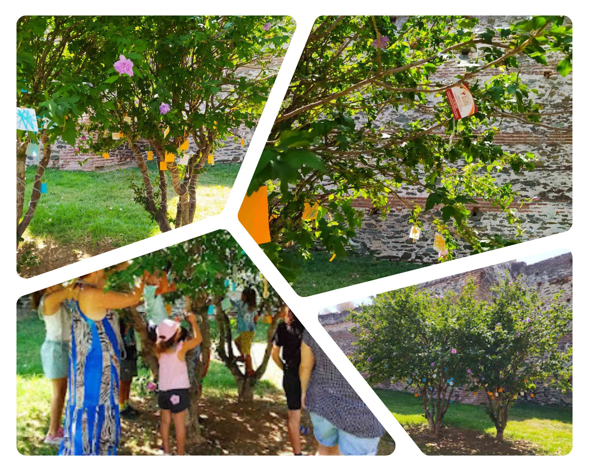 Yarn Bombing: Τα Δέντρα της Σοφίας και της Γνώσης